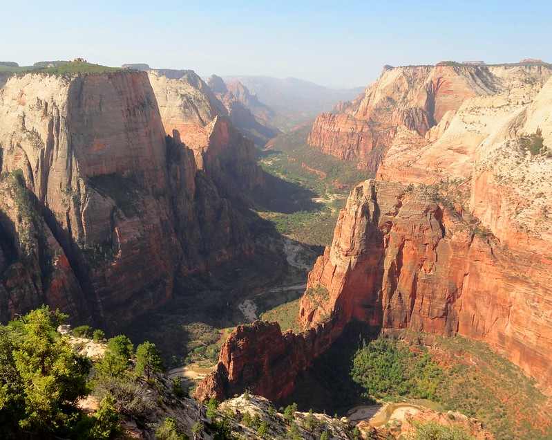 View from Observation Point in Zion National Park