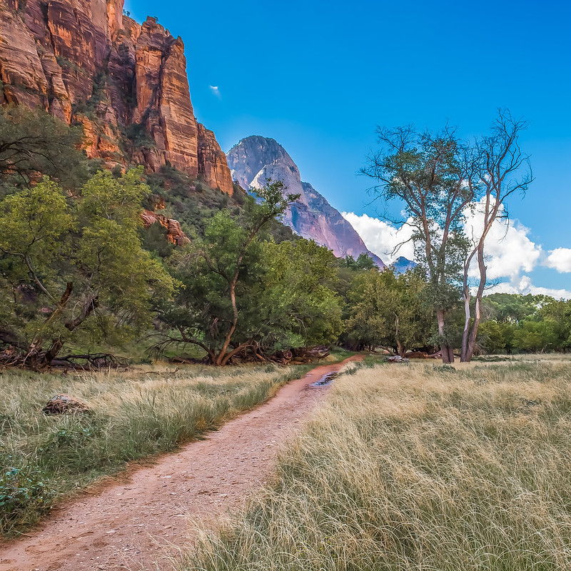 View from the Grotto Trail in Zion National Park