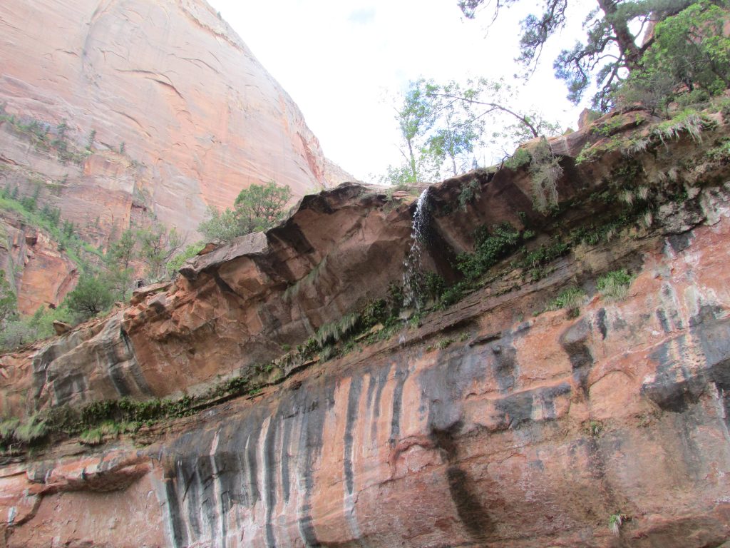 Small waterfall on Emerald Pool Trail in Zion National Park