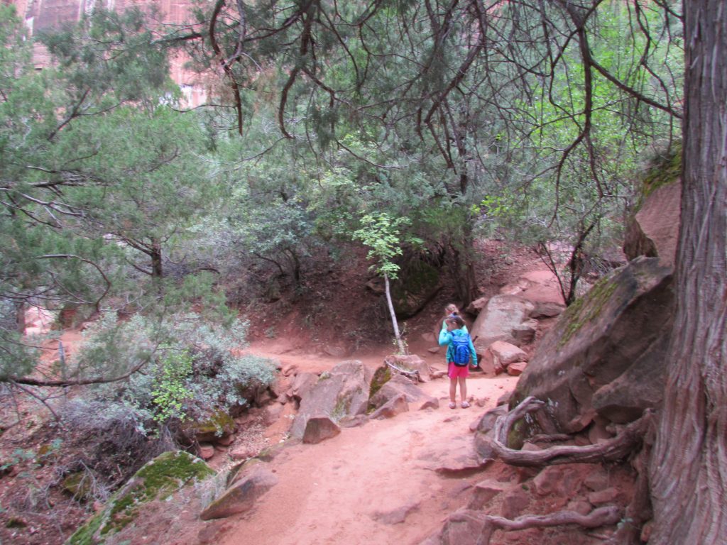 Small children hike Emerald Pool trail in Zion National Park