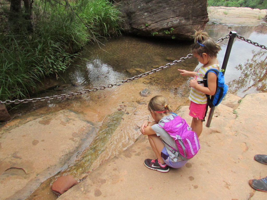 Young children inspect emerald pool during hike in Zion National Park