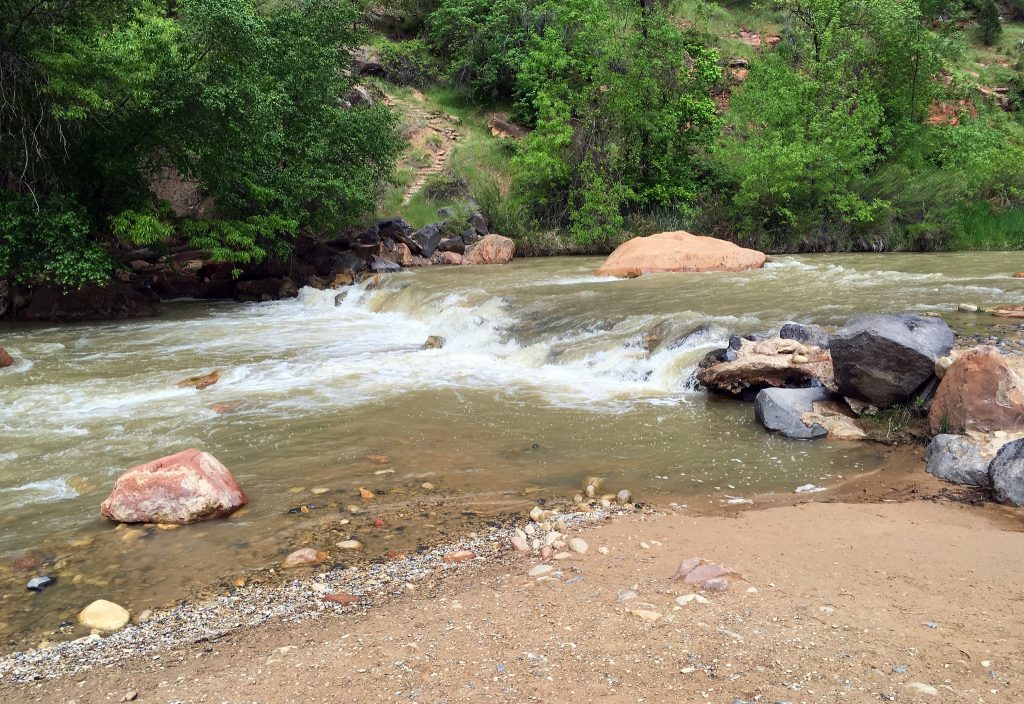 Riverside Walk along Virgin River in Zion National Park