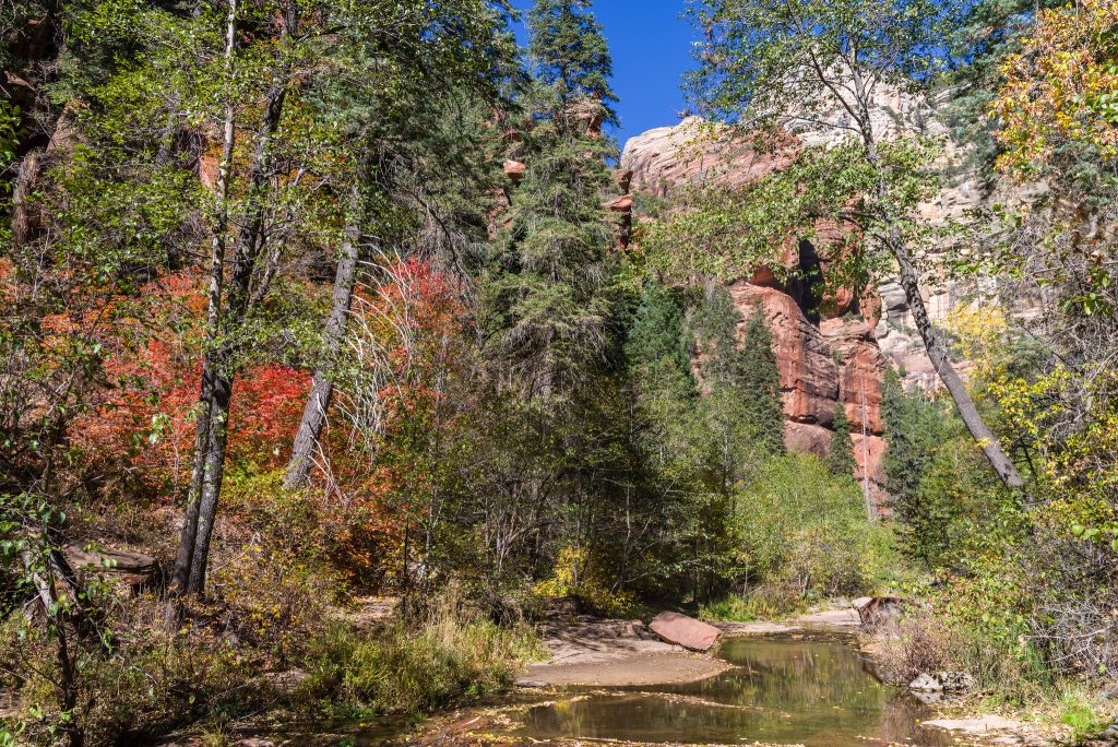 West Fork Trail near Sedona